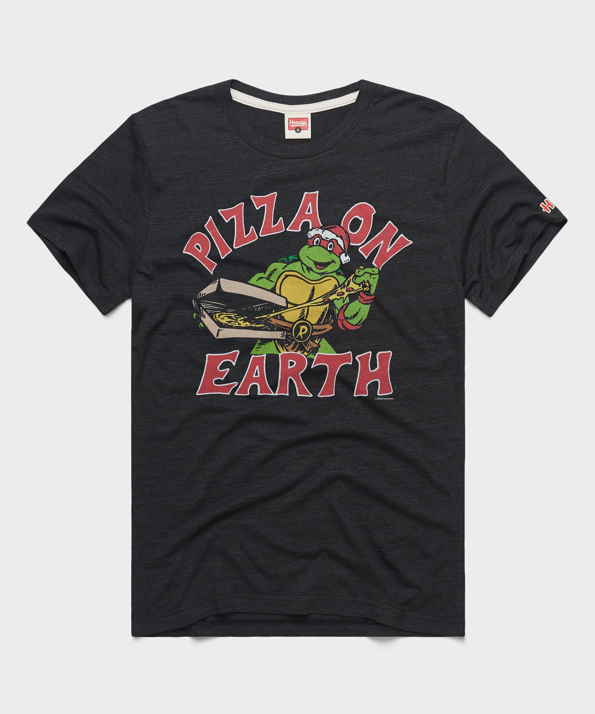 TMNT Pizza On Earth