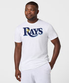 Tampa Bay Rays Jersey Logo '19