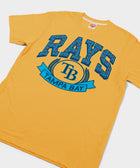 Tampa Bay Rays Plaid