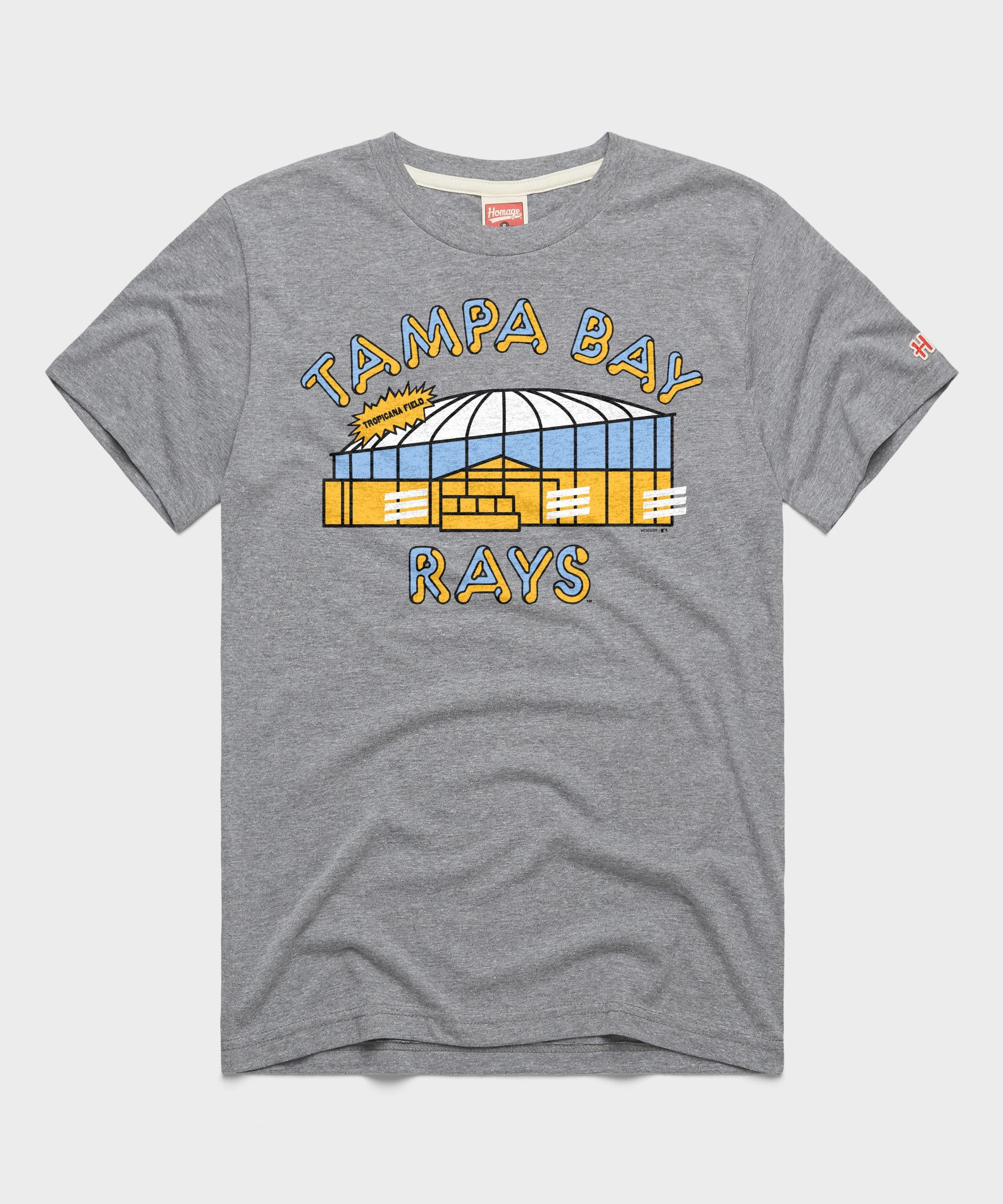 Tampa Bay Rays Tropicana Field Retro