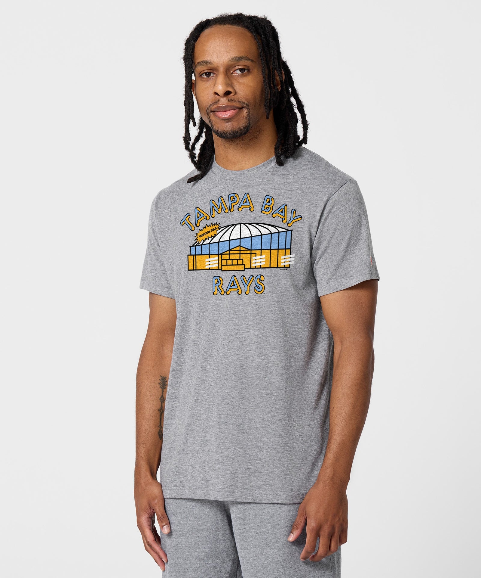 Tampa Bay Rays Tropicana Field Retro