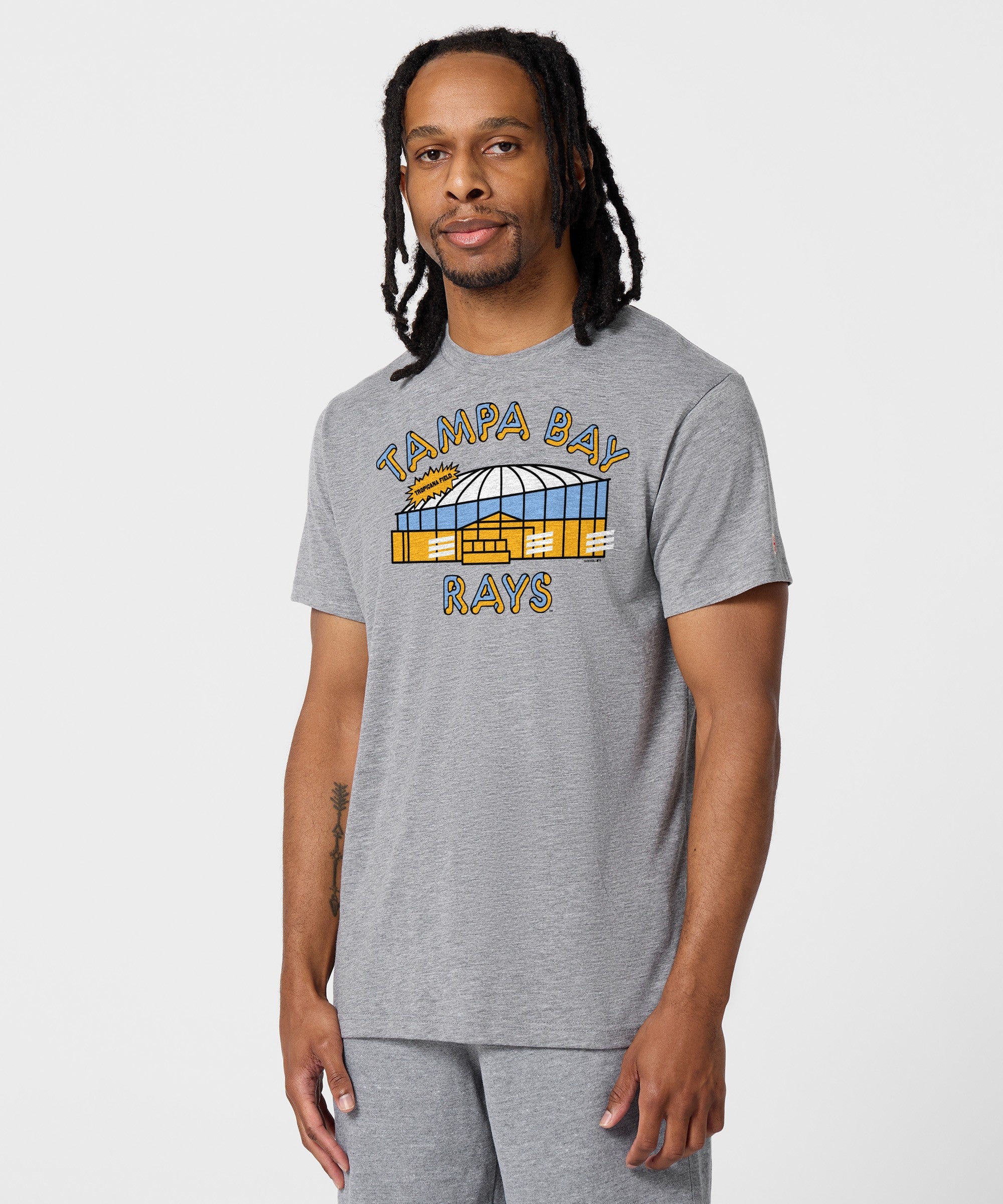 Tampa Bay Rays Tropicana Field Retro