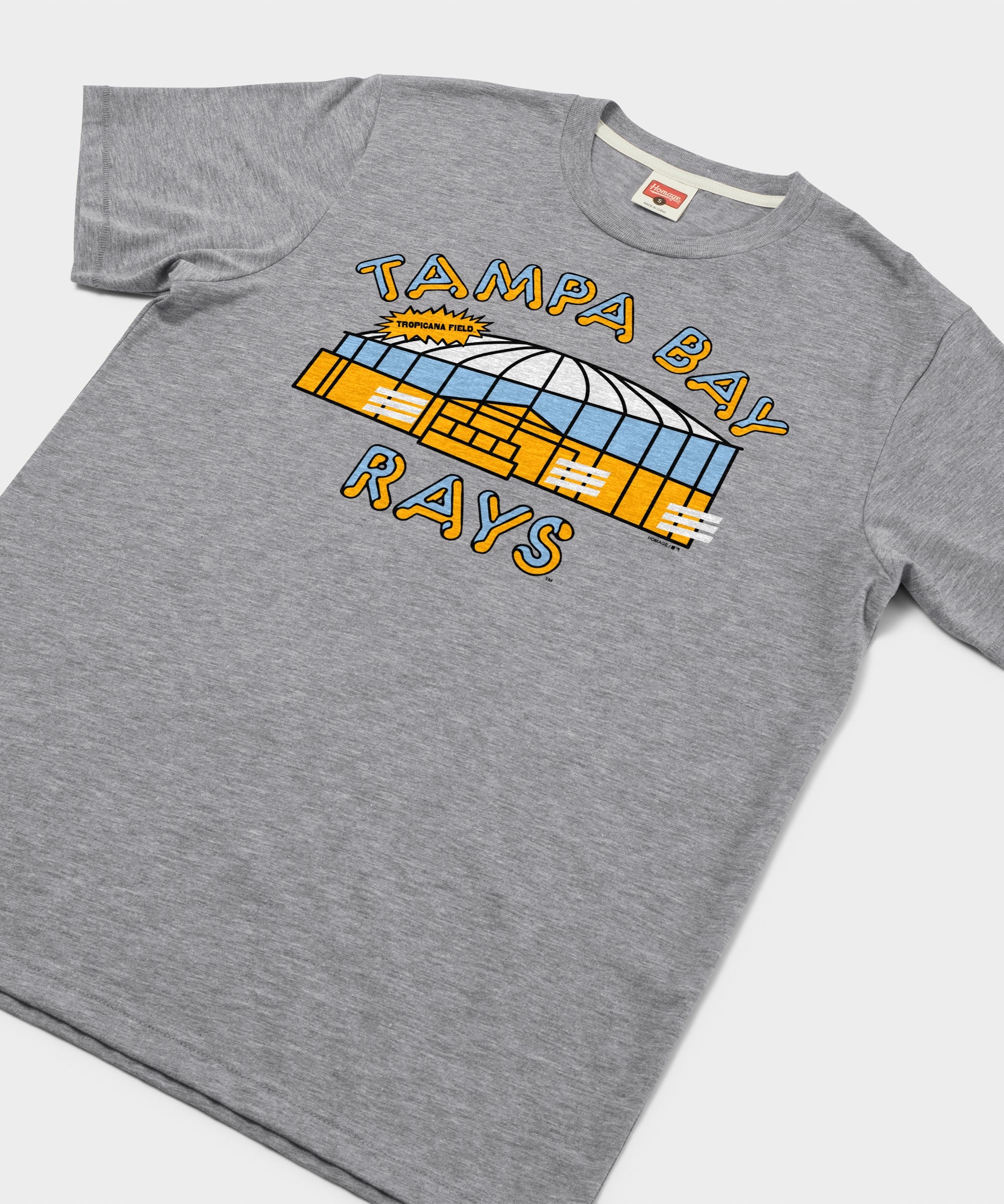 Tampa Bay Rays Tropicana Field Retro