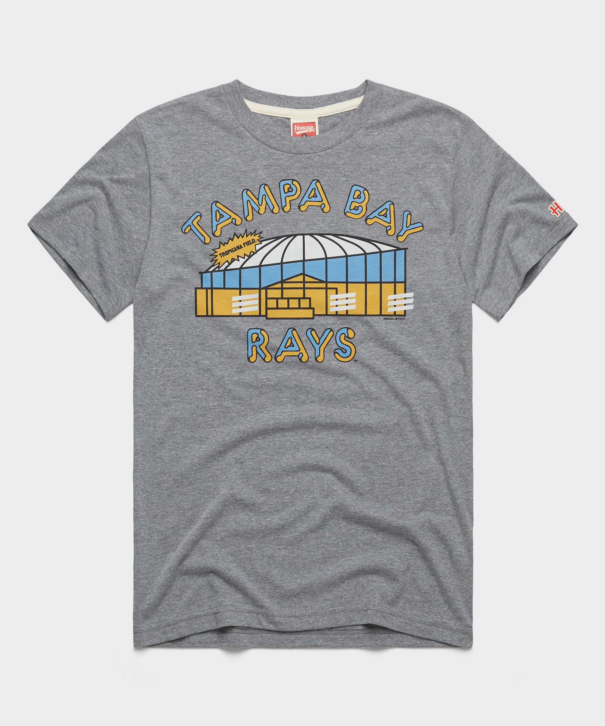 Tampa Bay Rays Tropicana Field Retro Grey