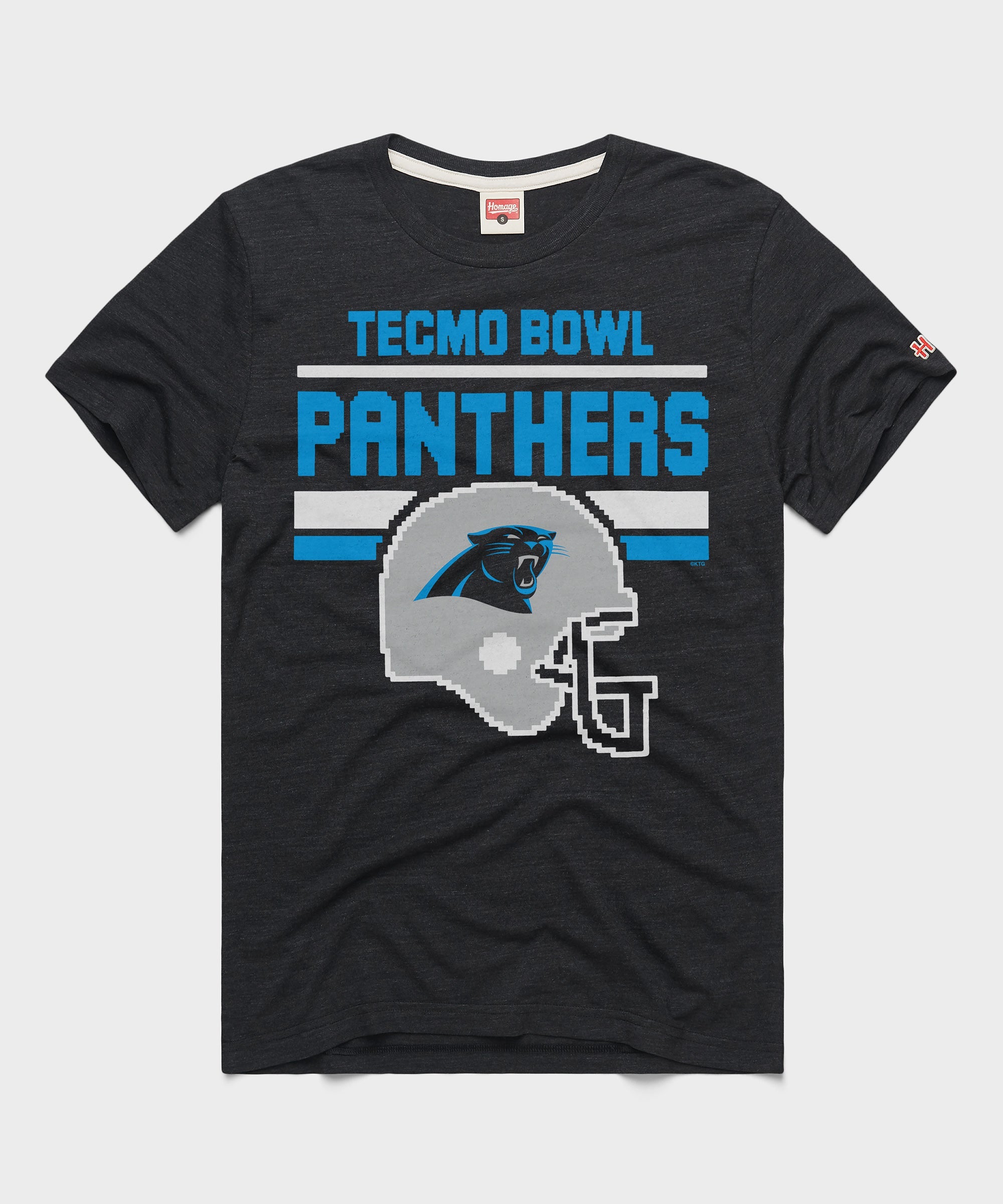 Tecmo Bowl Carolina Panthers