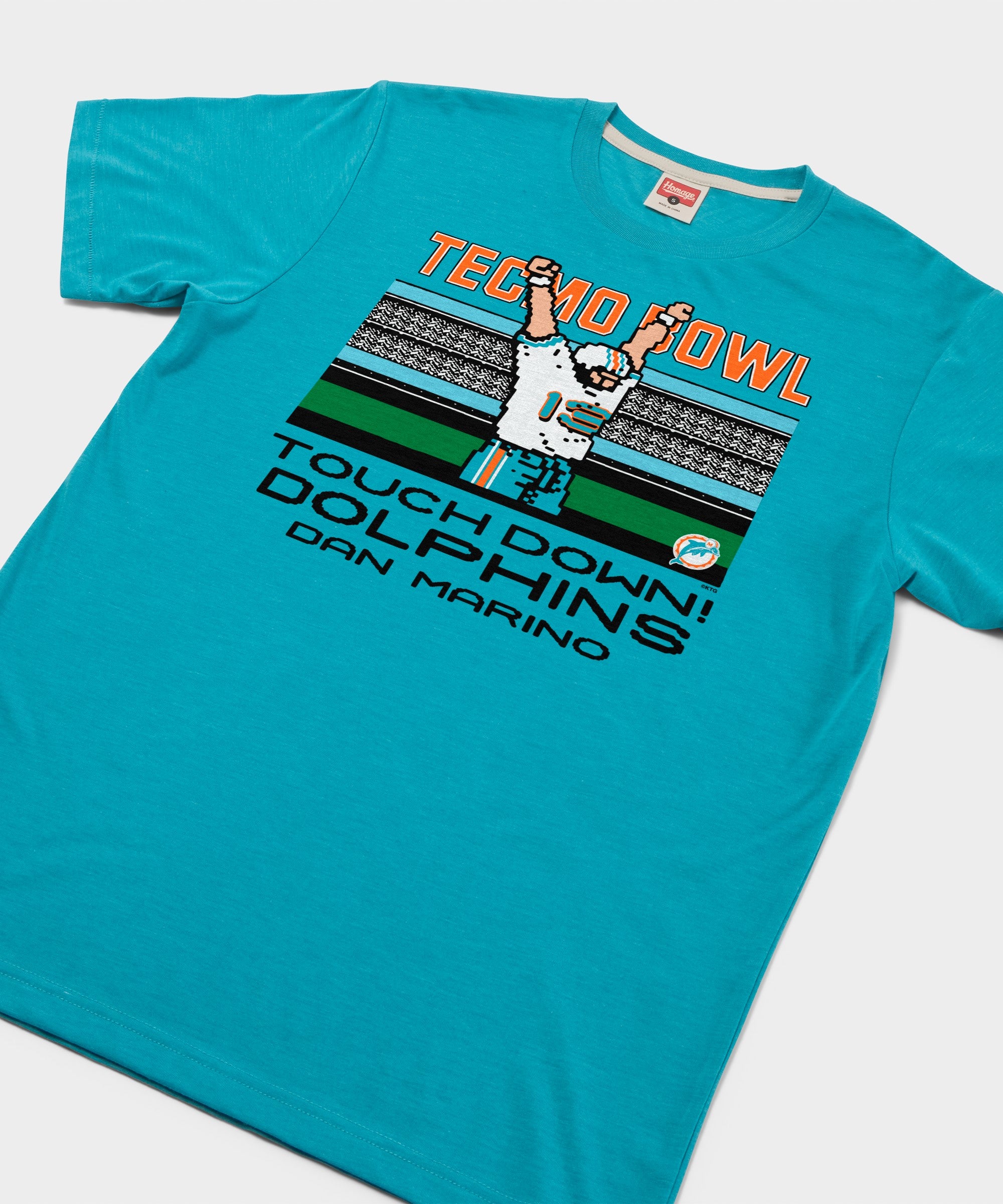 Tecmo Bowl Dolphins Dan Marino
