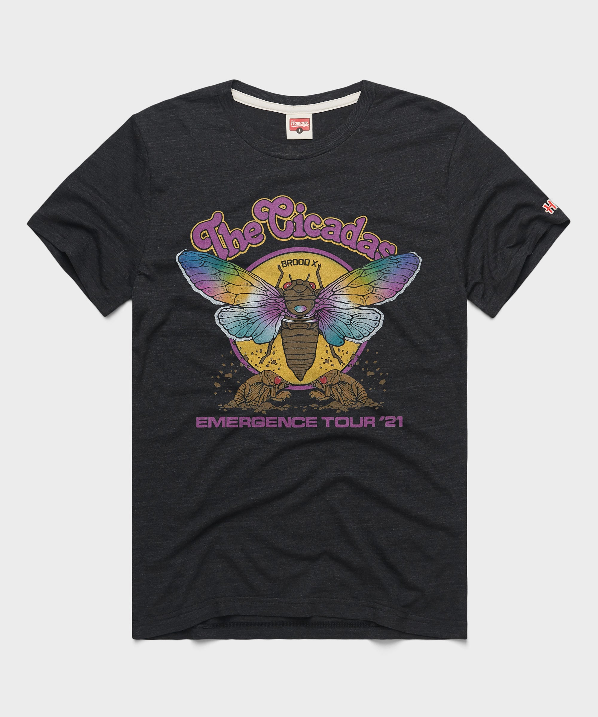 The Cicadas Emergence Tour 2021