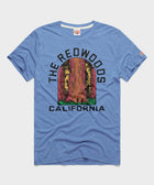 The Redwoods California