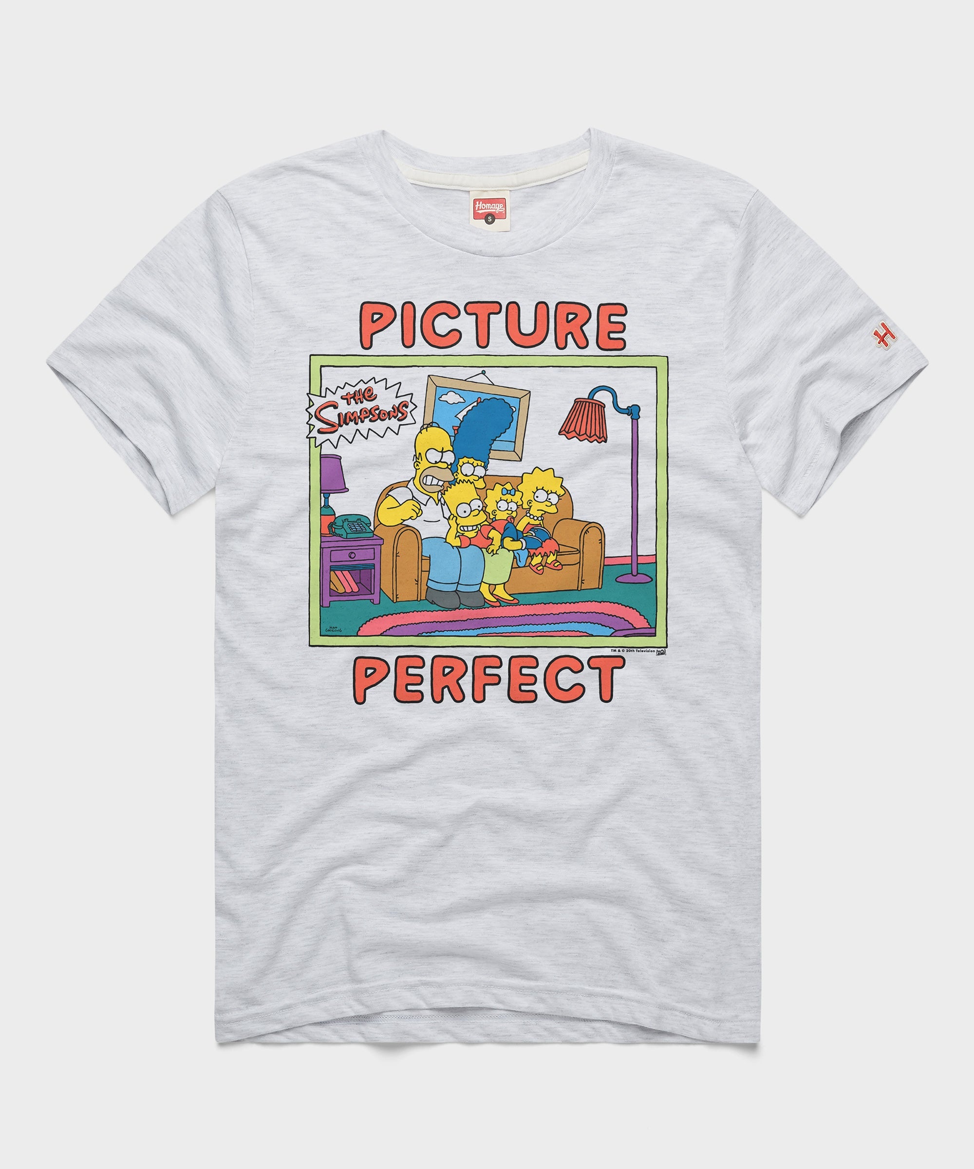 The Simpsons Picture Perfect