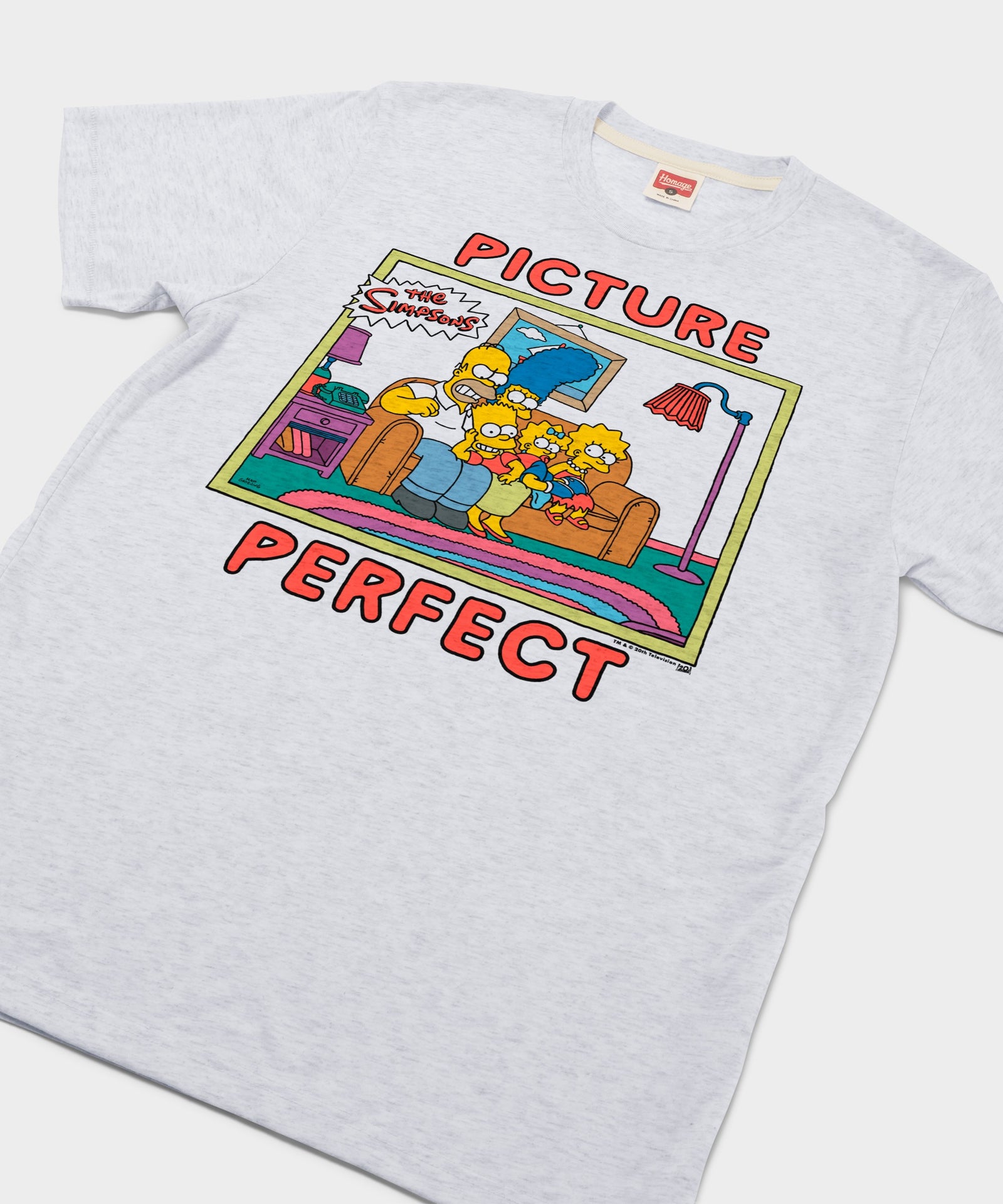 The Simpsons Picture Perfect