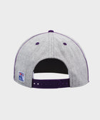The Game x HOMAGE LSU '88 Classic Snapback