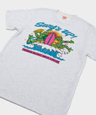 Tmnt Surf's Up