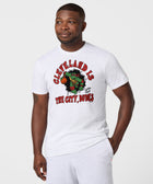 Tmnt X Cavs Cleveland Is The City Dudes