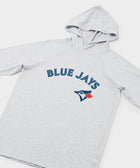Toronto Blue Jays Jersey Logo '20 Lightweight Hoodie