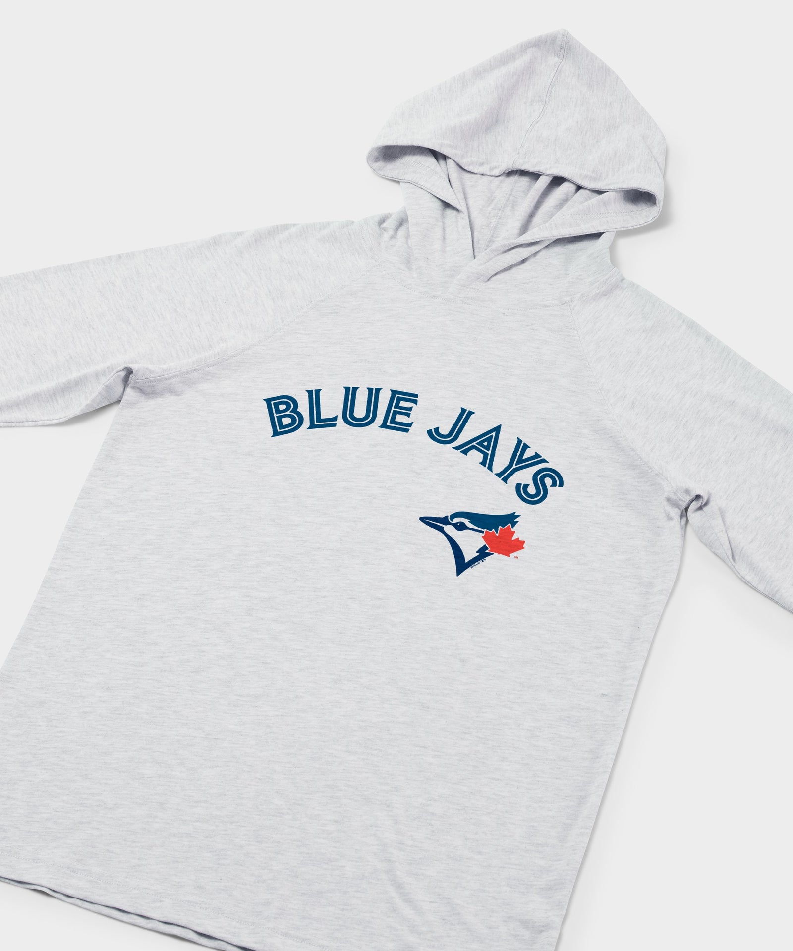 Toronto Blue Jays Jersey Logo '20 Lightweight Hoodie