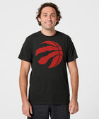 Toronto Raptors Logo