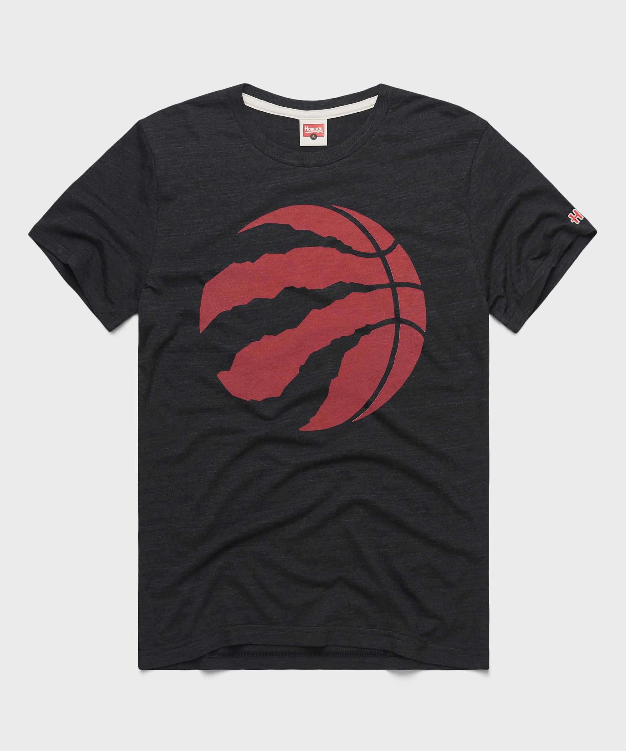 Toronto Raptors Logo