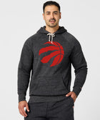 Toronto Raptors Logo Hoodie