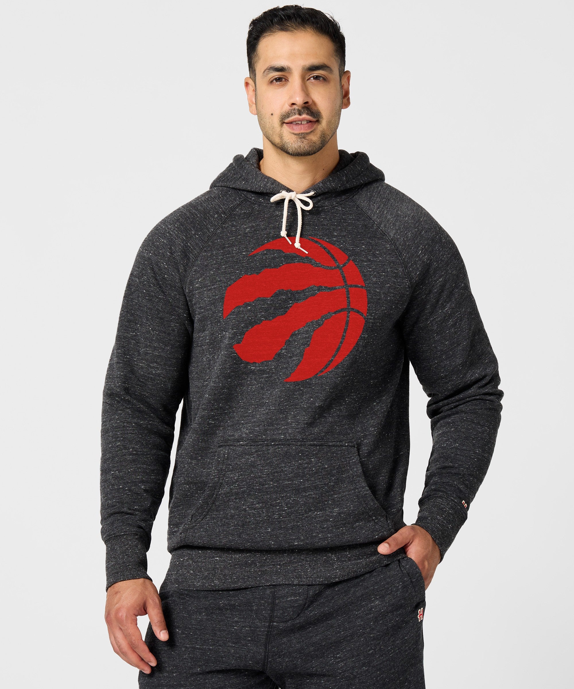 Toronto Raptors Logo Hoodie