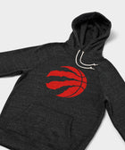 Toronto Raptors Logo Hoodie