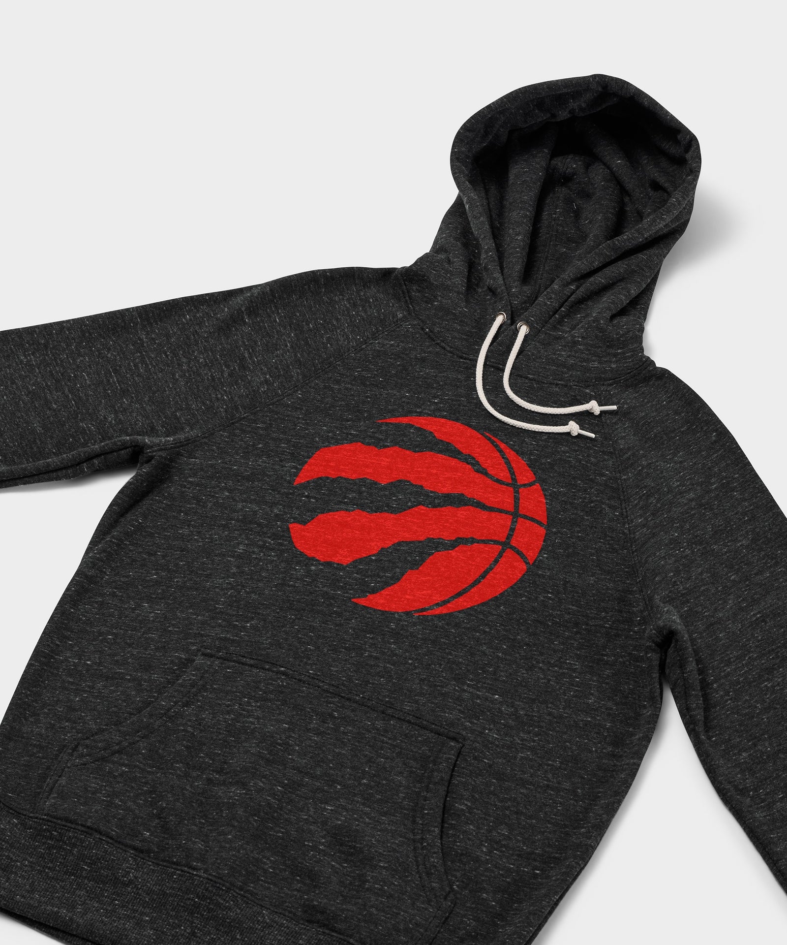 Toronto Raptors Logo Hoodie