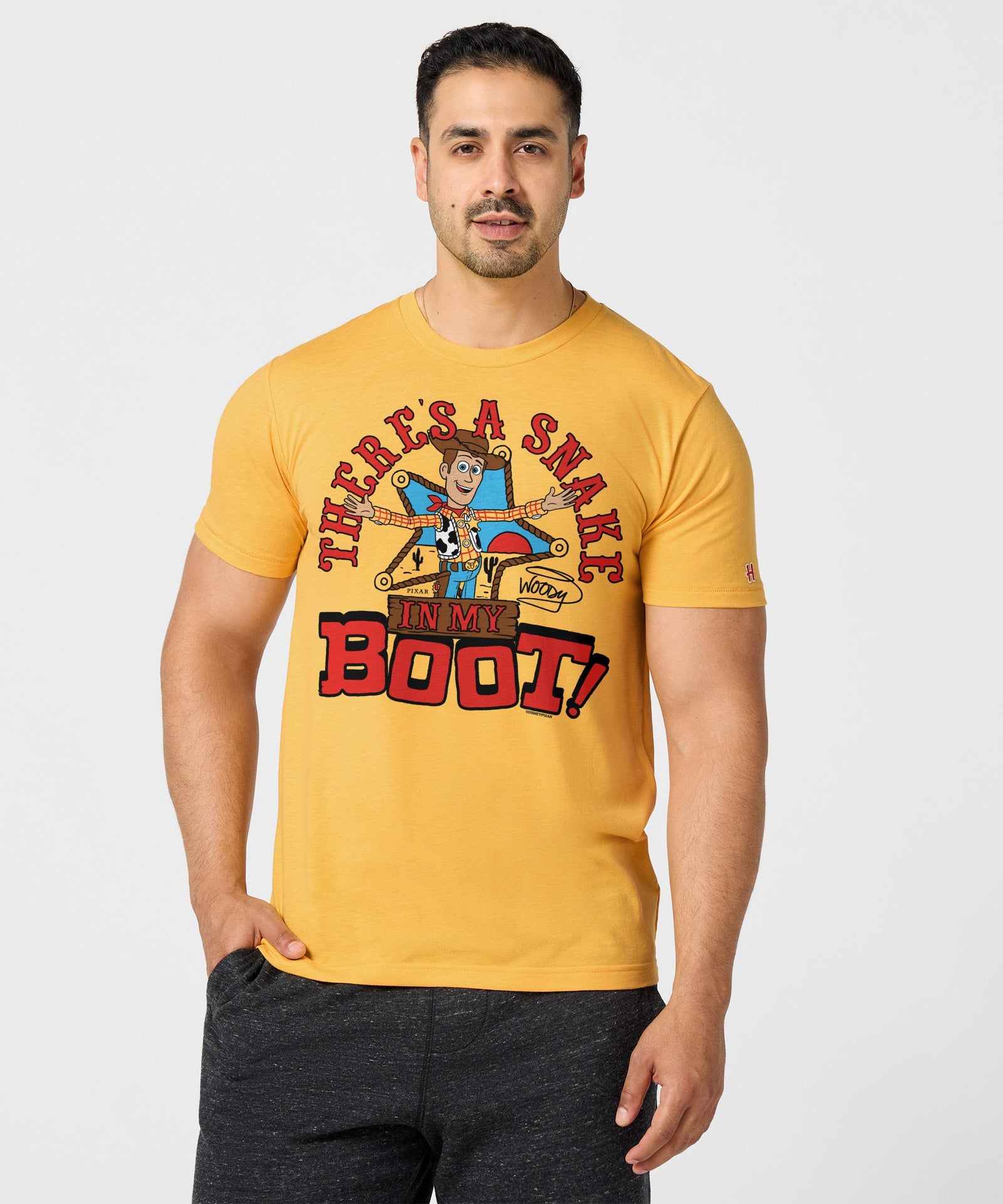 Toy Story Woody There's A Snake In My Boot