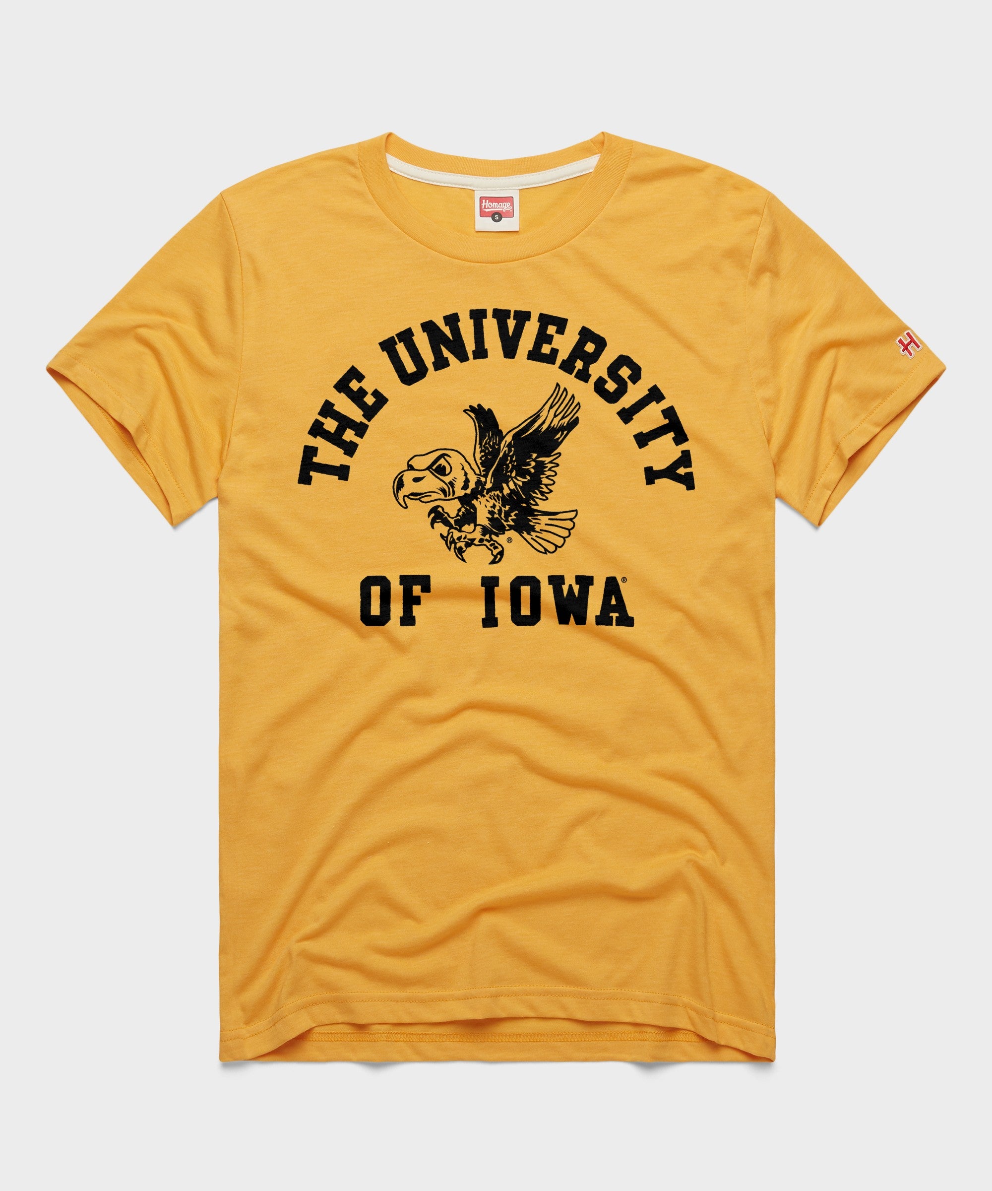 University Of Iowa