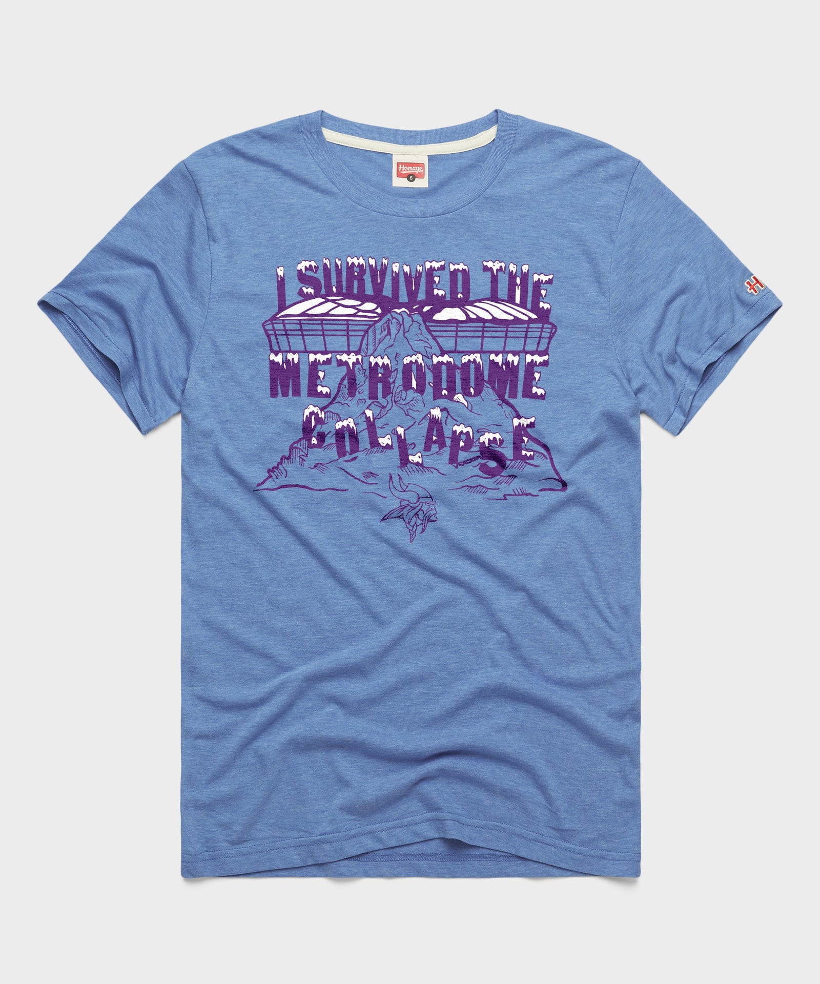 Vikings I Survived The Metrodome