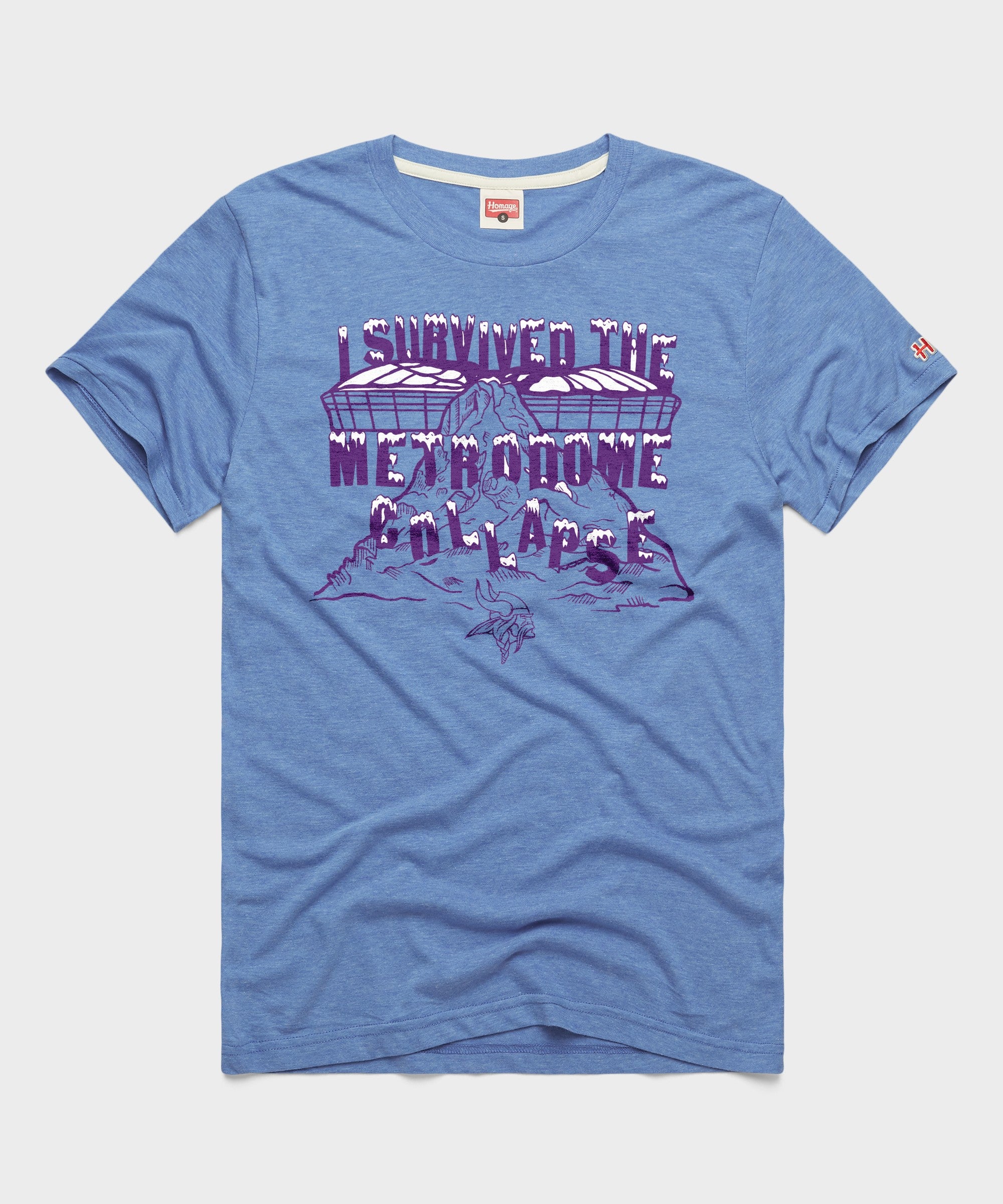 Vikings I Survived The Metrodome