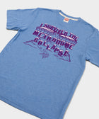 Vikings I Survived The Metrodome