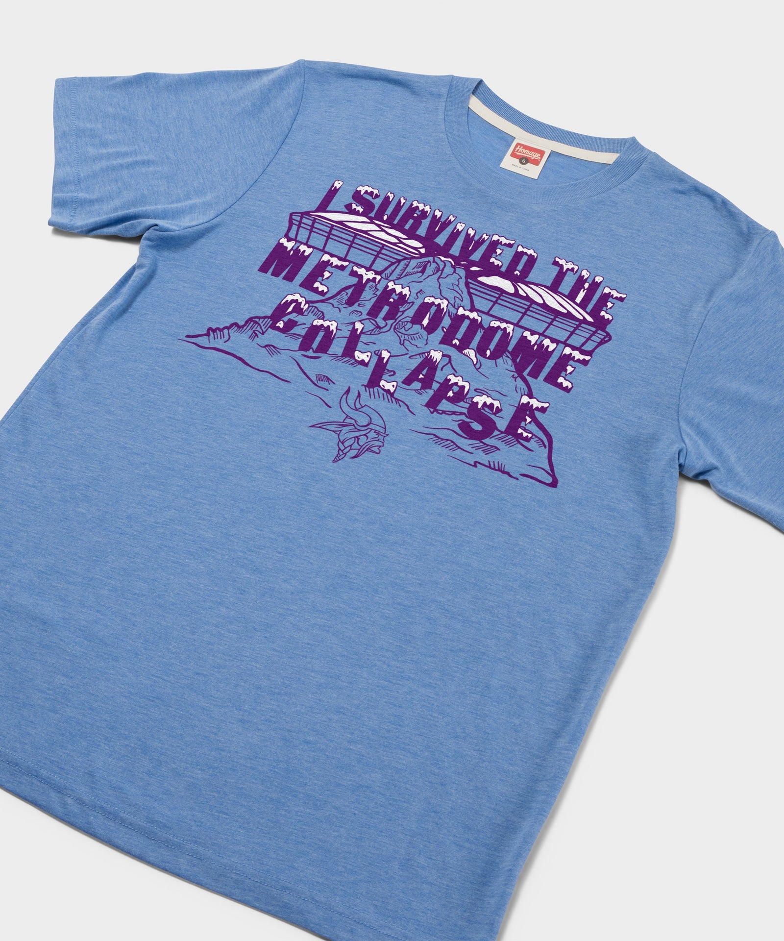 Vikings I Survived The Metrodome