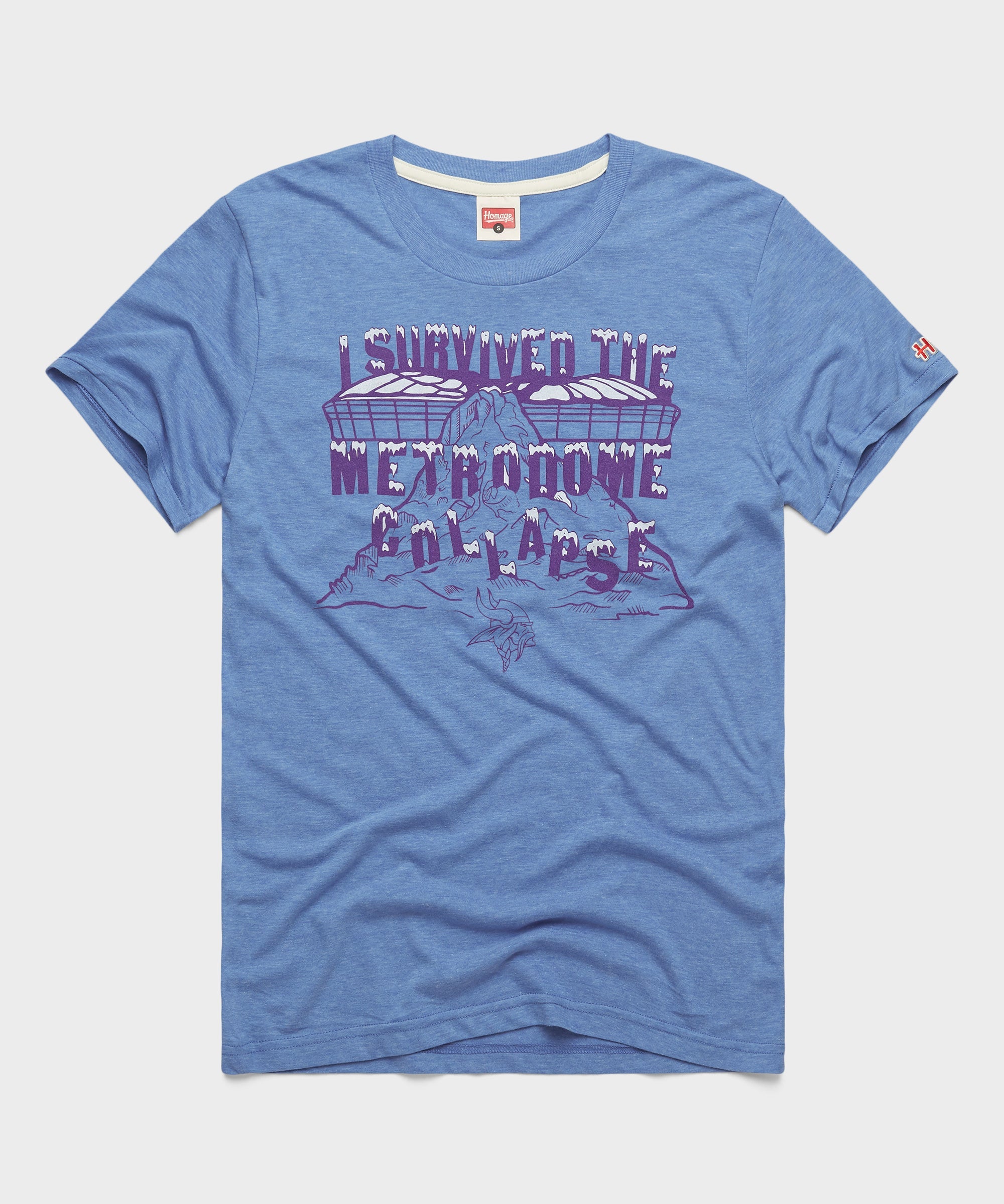 Vikings I Survived The Metrodome