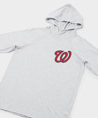 Washington Nationals Jersey Logo '11 Lightweight Hoodie