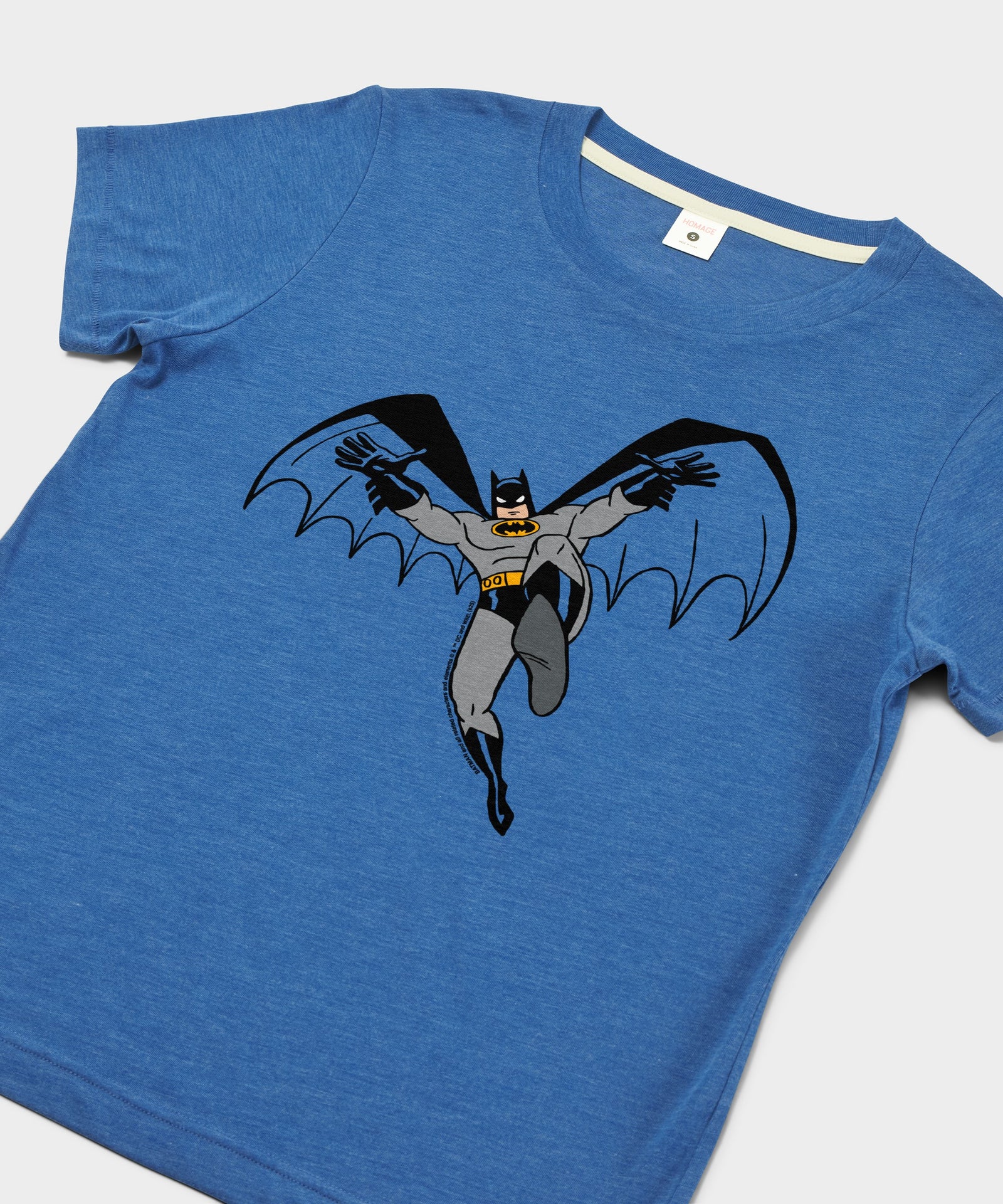 Women's Batman Character