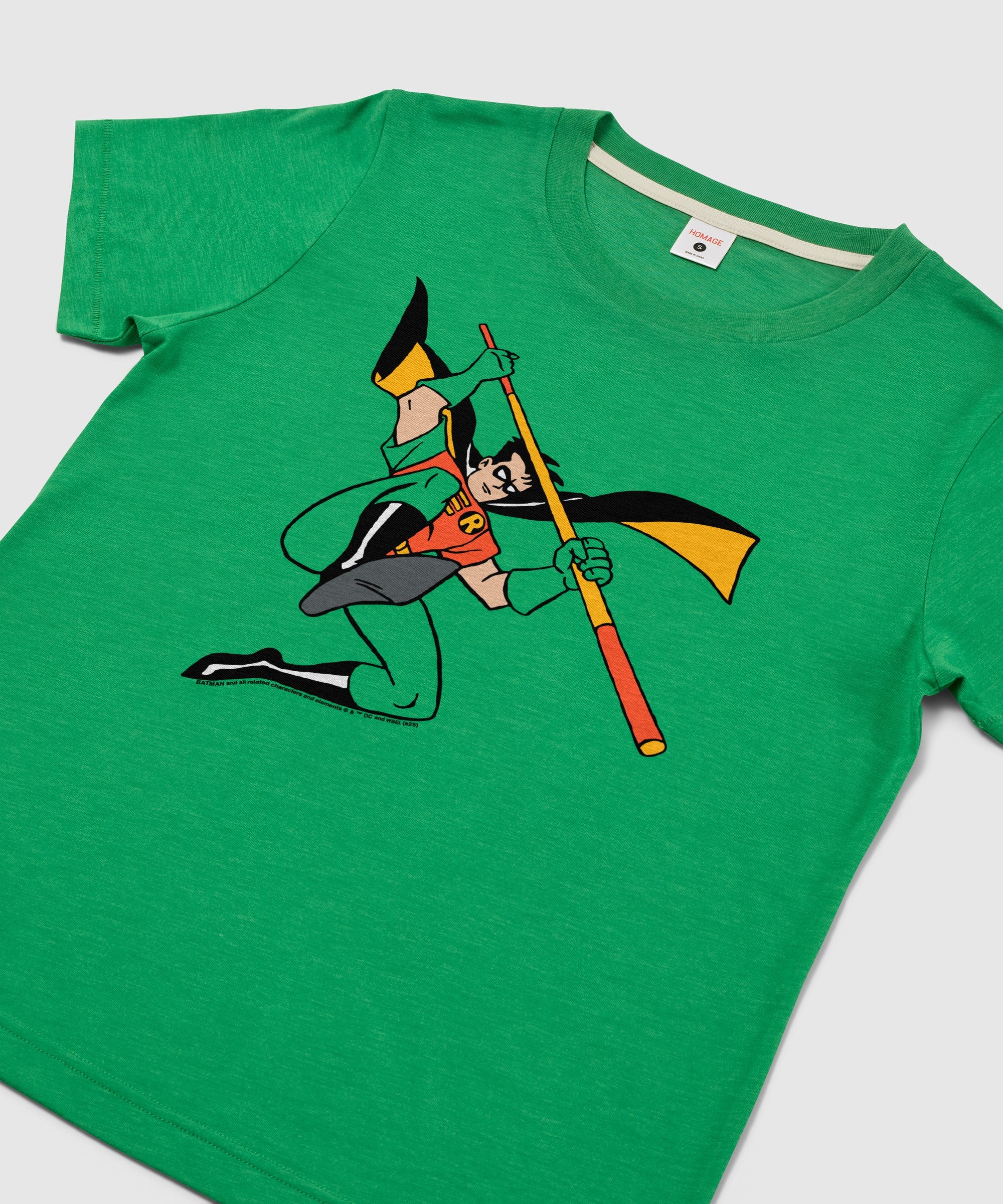 Women's Batman Robin Character
