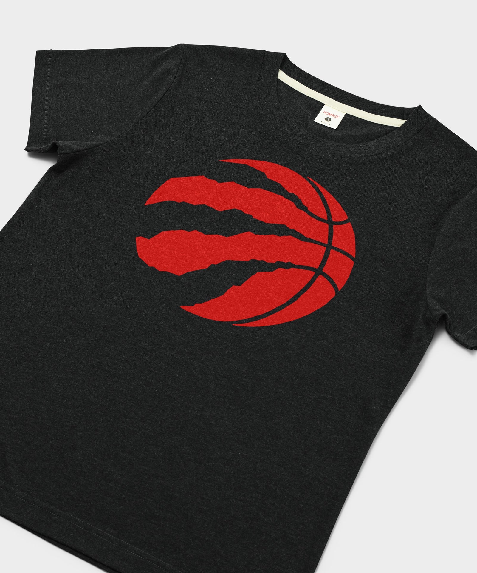Women's Toronto Raptors Logo