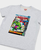 Youth Amazing Spider Man 119 Spidey Vs Hulk