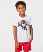 Youth Arizona Cardinals Helmet