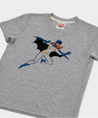 Youth Batman Batgirl Character