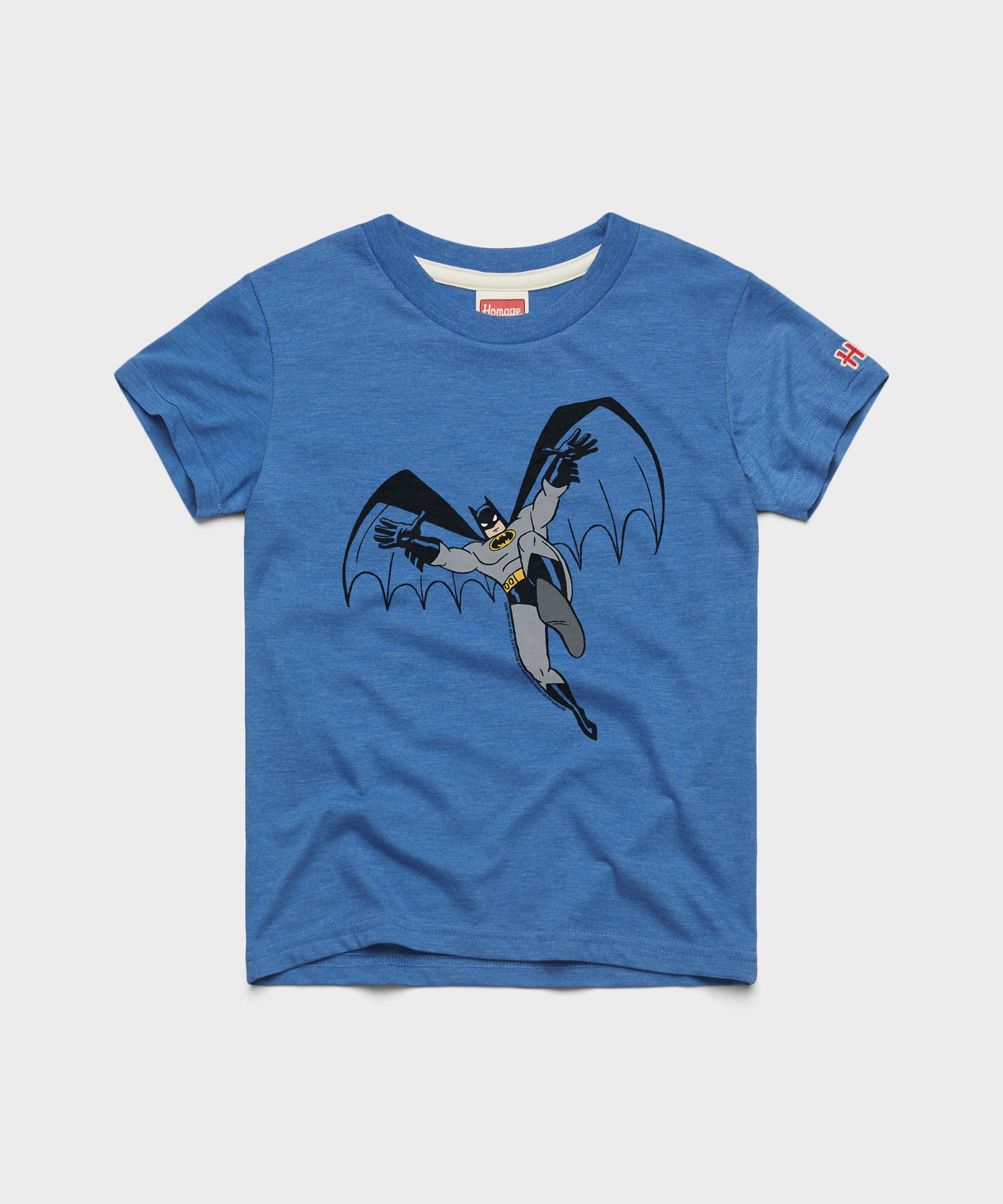 Youth Batman Character