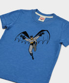 Youth Batman Character