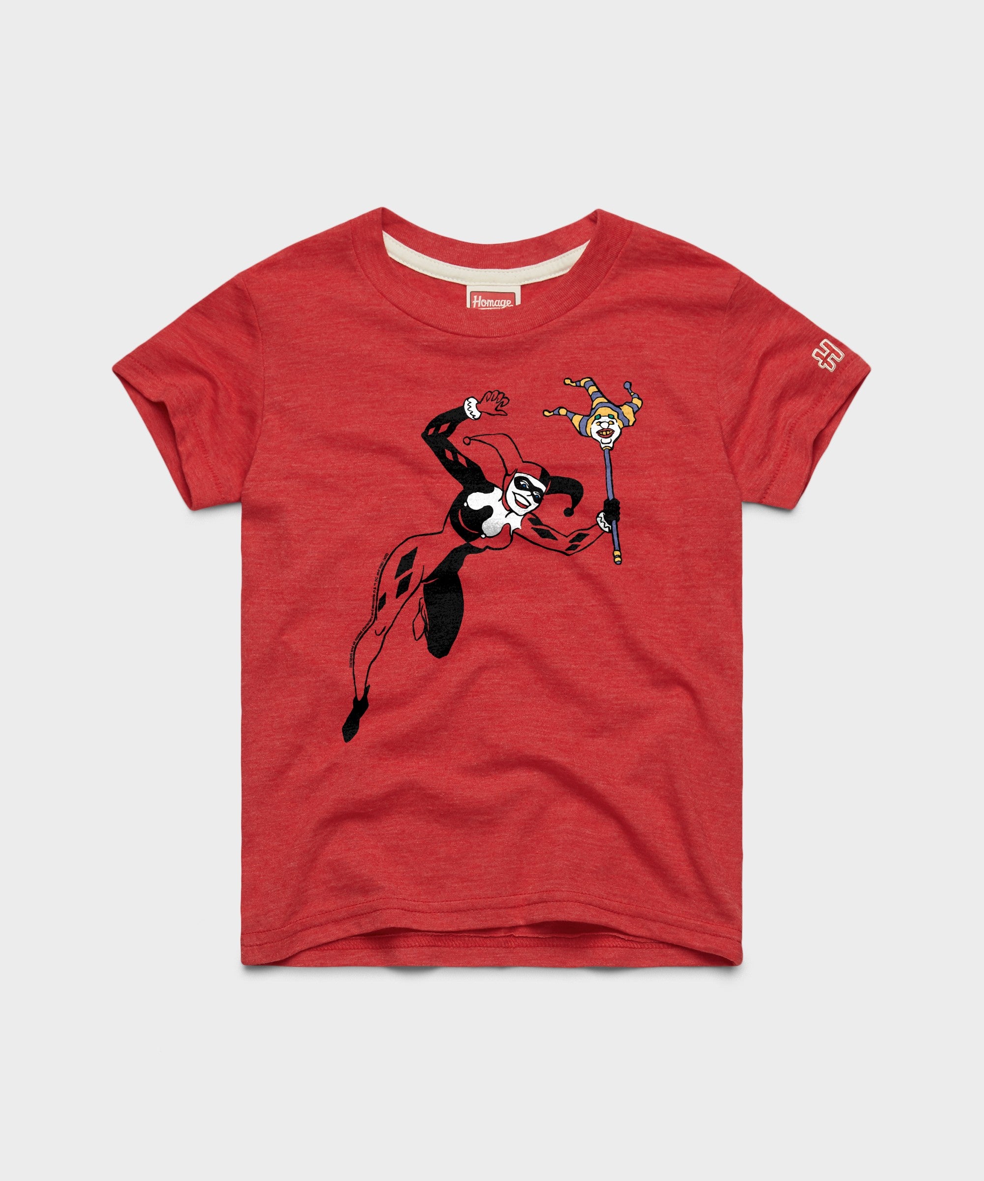 Youth Batman Harley Quinn Character