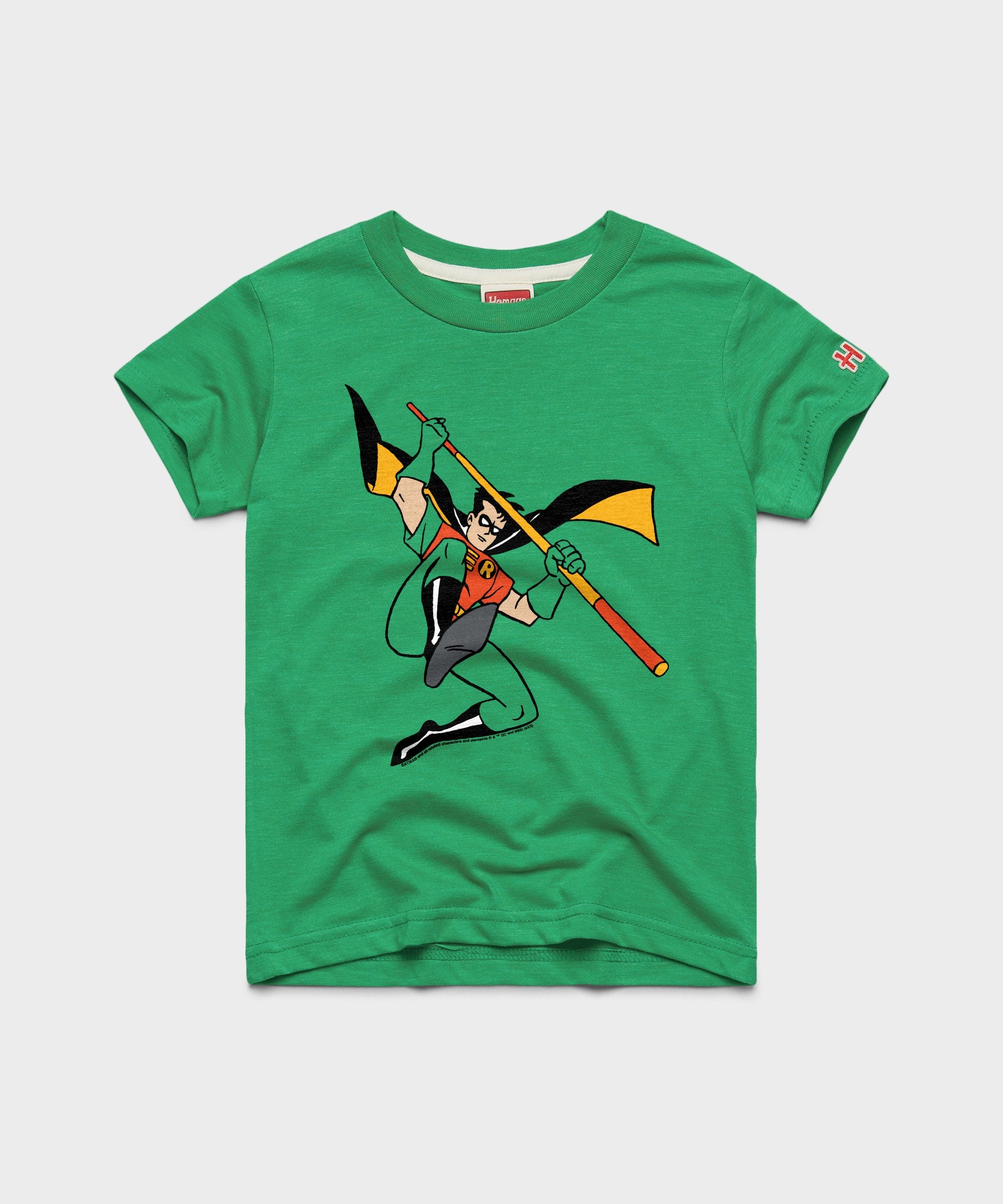 Youth Batman Robin Character