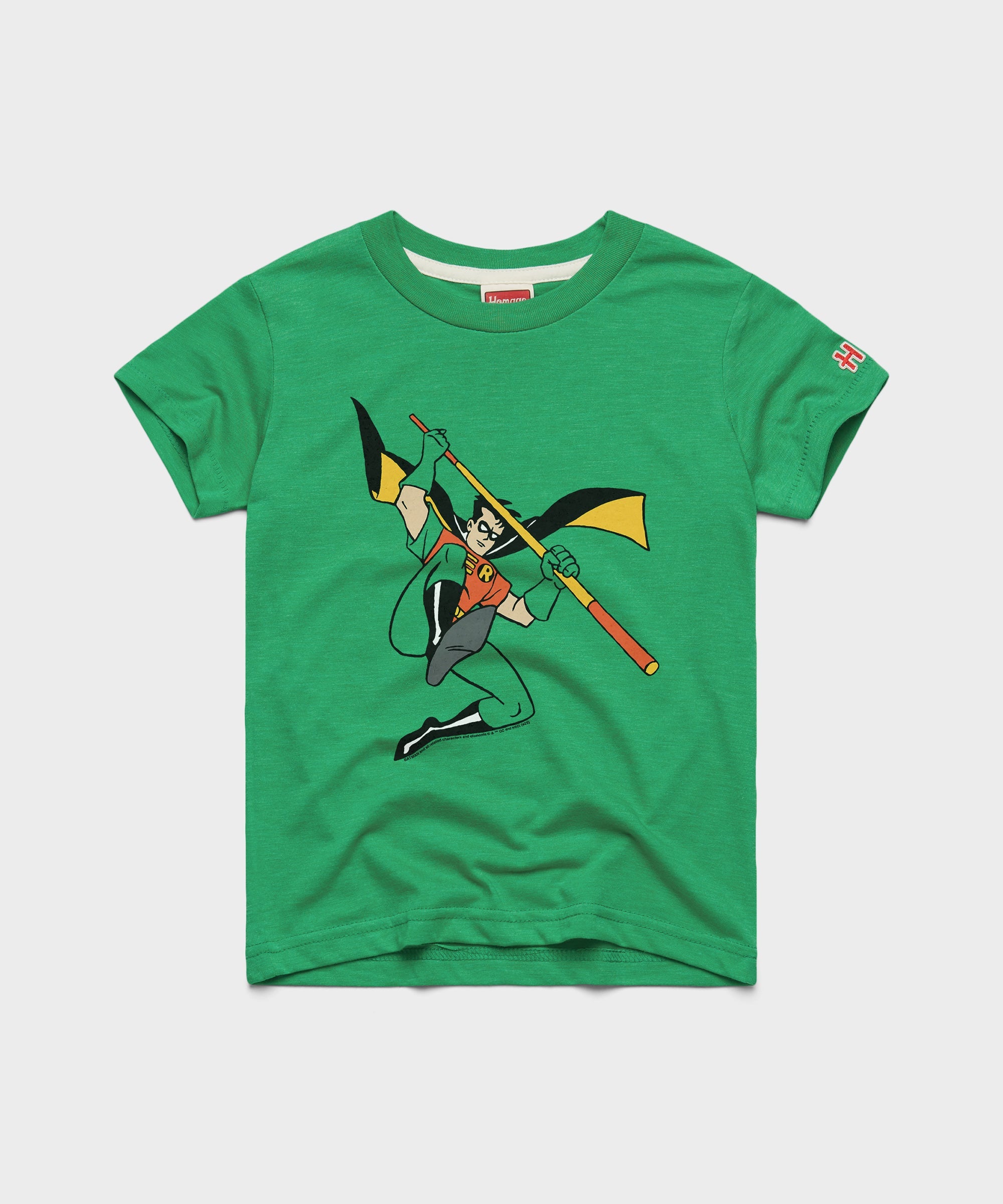 Youth Batman Robin Character