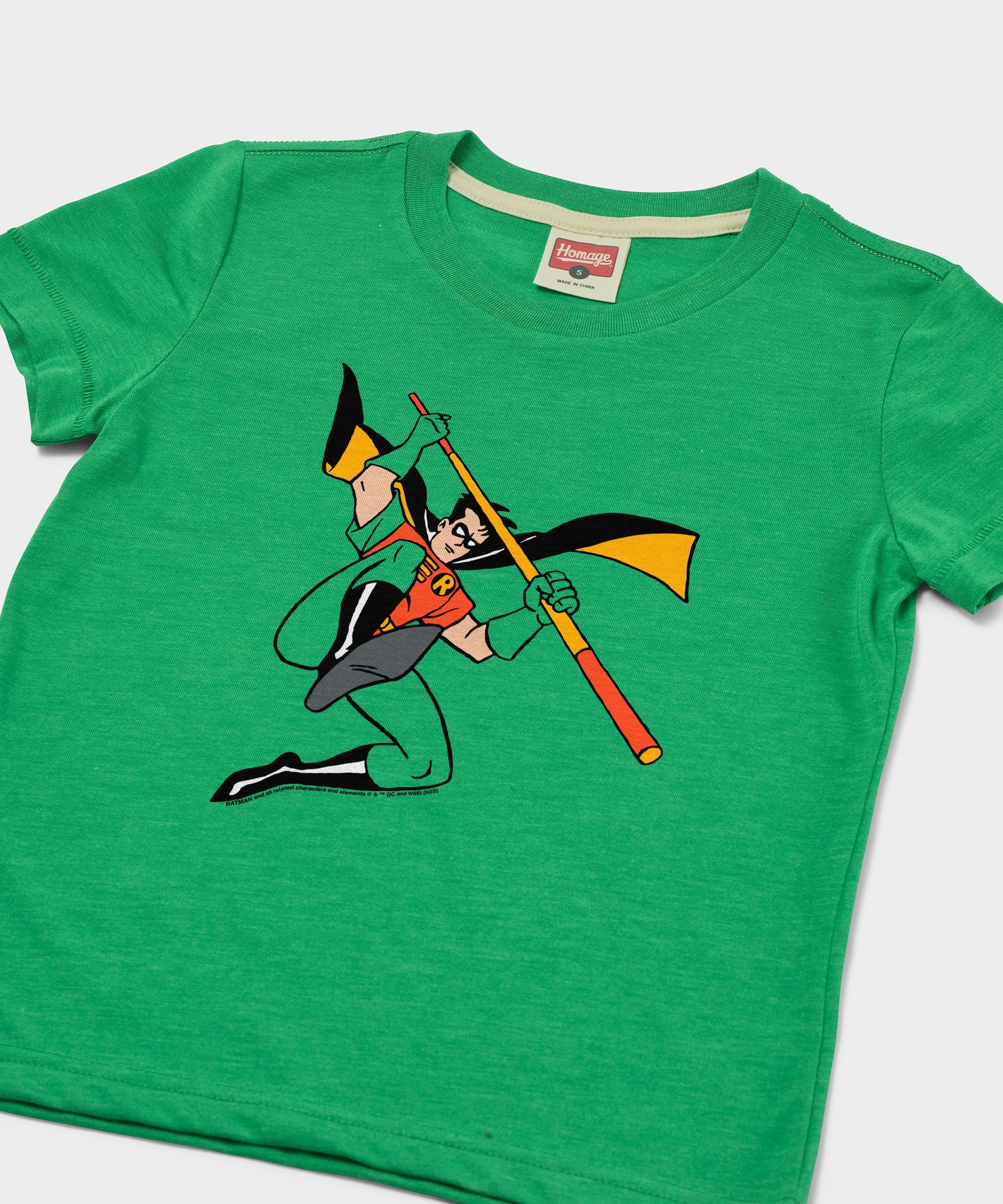 Youth Batman Robin Character