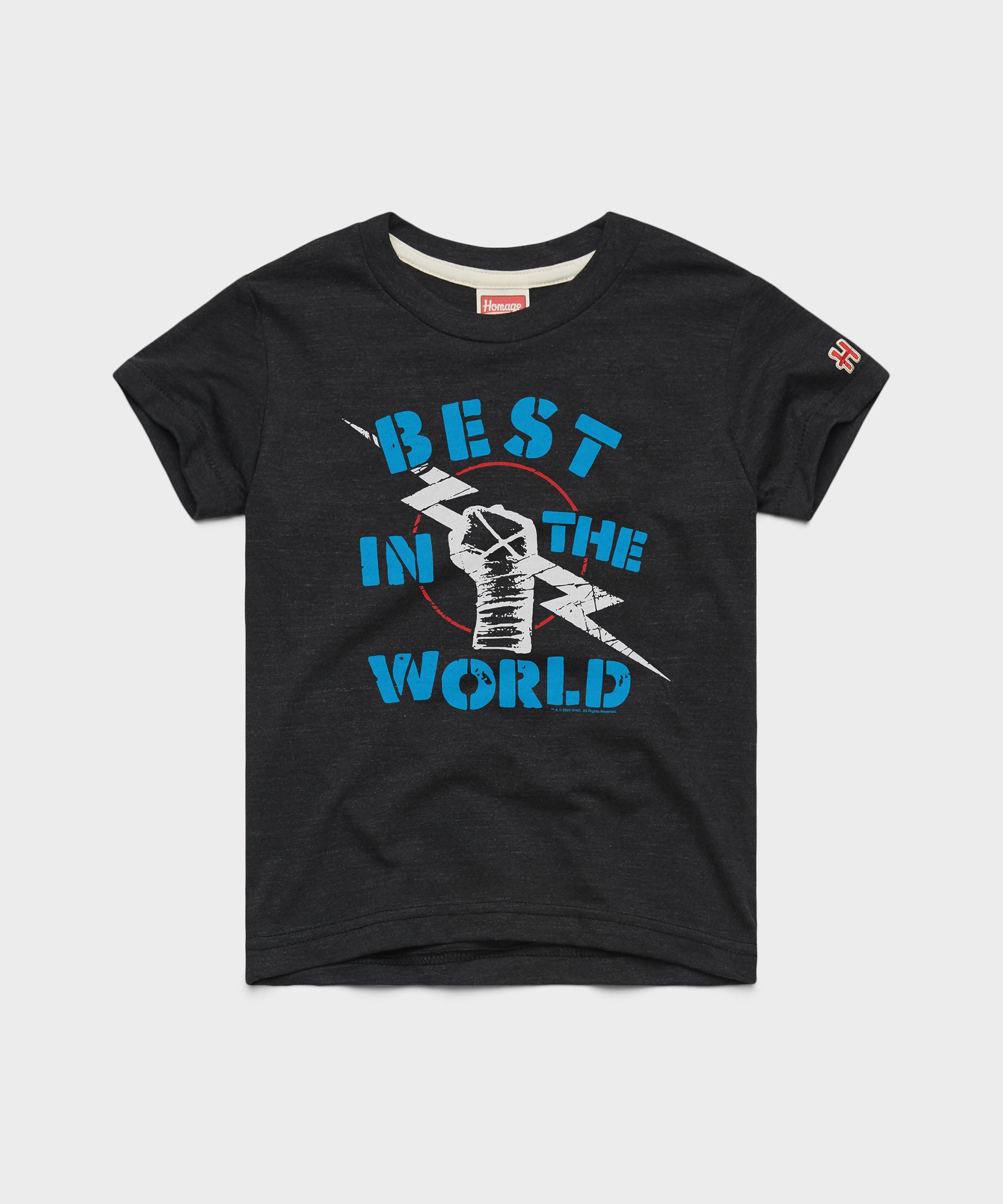 Youth CM Punk Best In The World