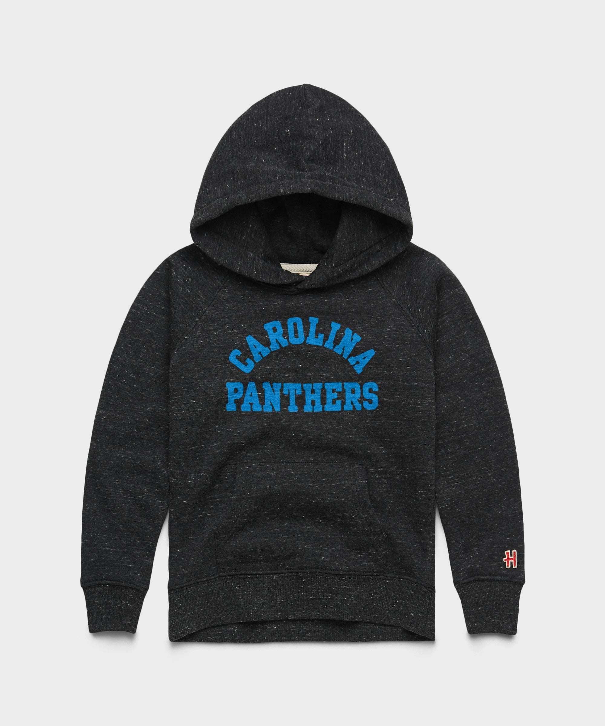 Youth Carolina Panthers Classic Hoodie