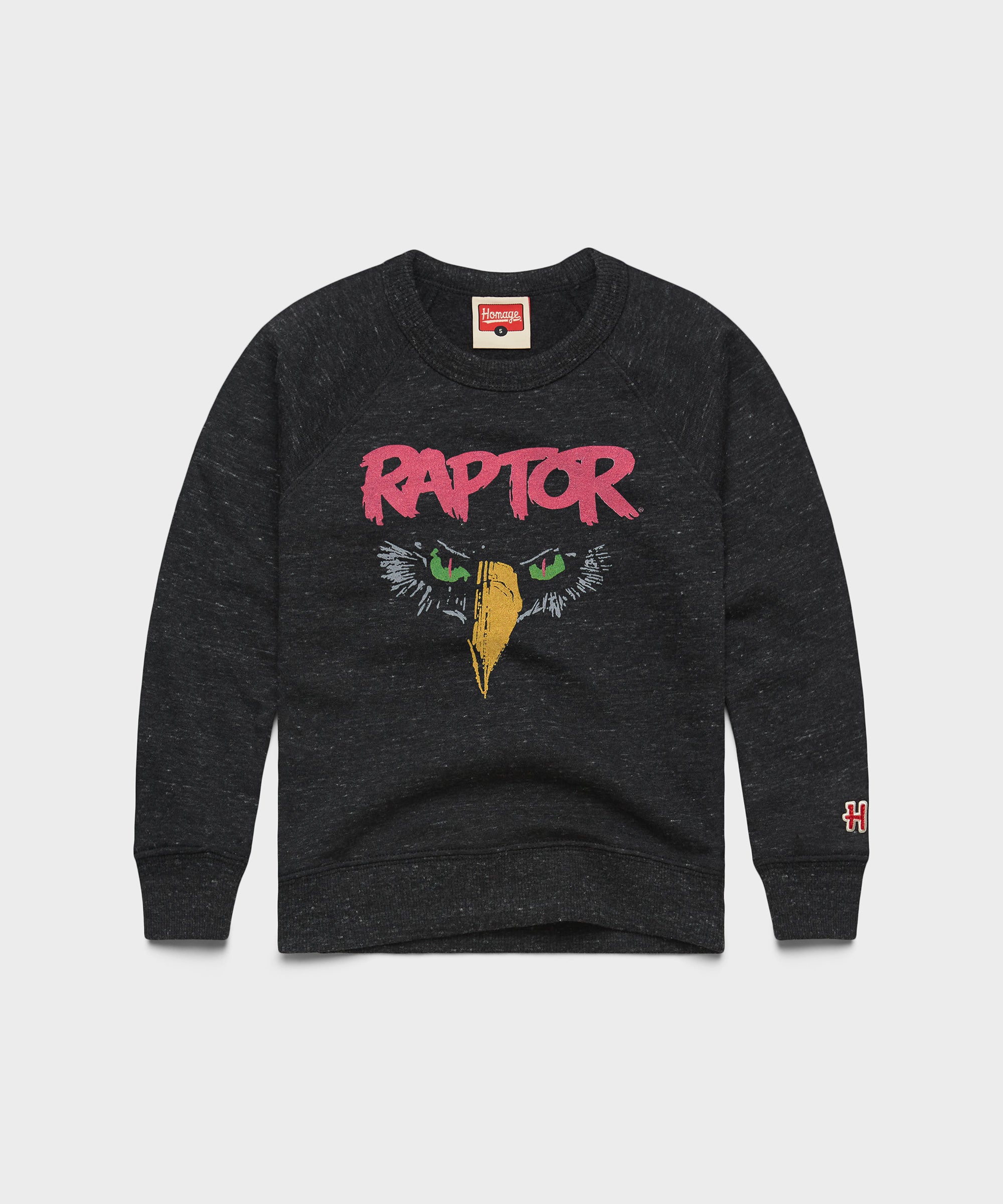 Youth Cedar Point Raptor Crewneck | Kids Retro Cedar Point Sweatshirt ...