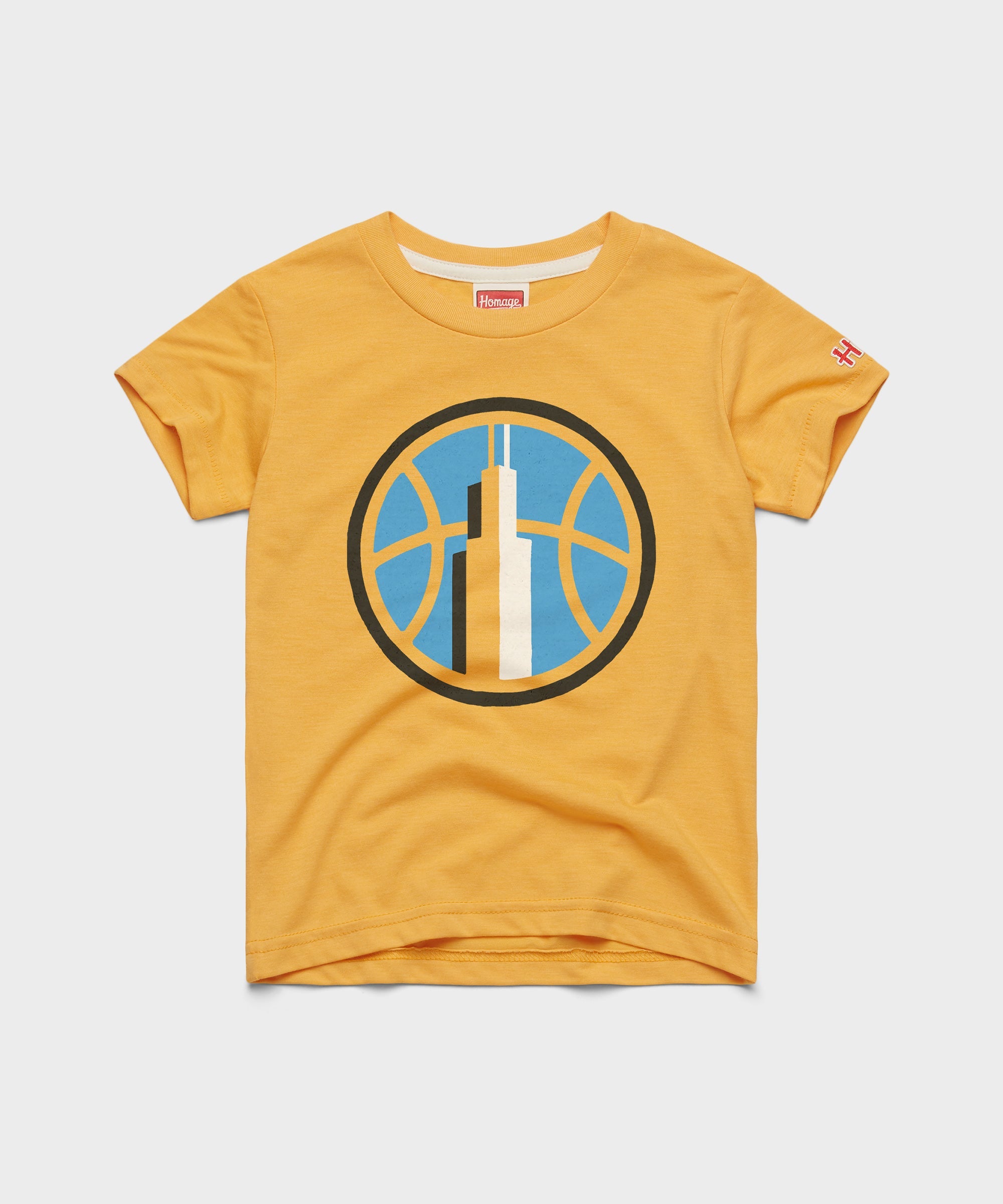 Youth Chicago Sky Logo