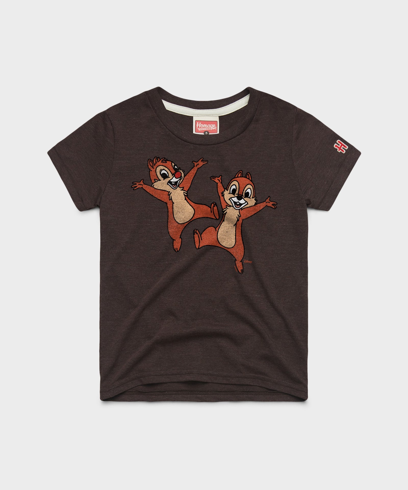 Youth Chip 'N Dale Character